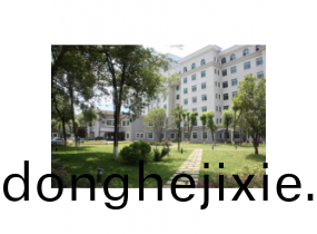 中心(xin)醫(yi)院案(an)例(li)